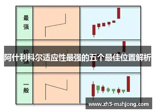 阿什利科尔适应性最强的五个最佳位置解析