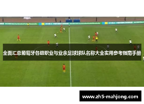 全面汇总葡萄牙各级职业与业余足球球队名称大全实用参考指南手册 全面汇总葡萄牙各级职业与业余足球球队名称大全实用参考指南手册