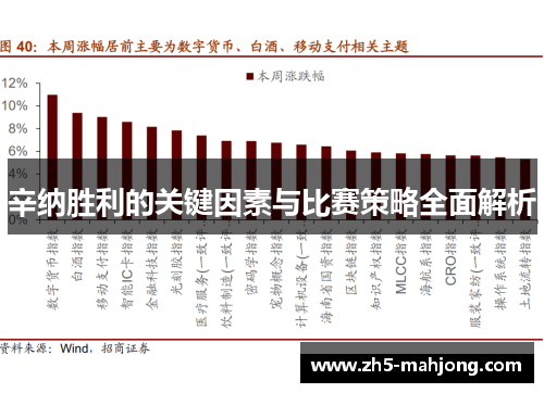 辛纳胜利的关键因素与比赛策略全面解析