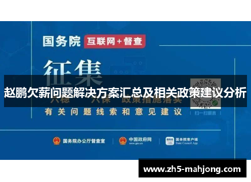 赵鹏欠薪问题解决方案汇总及相关政策建议分析